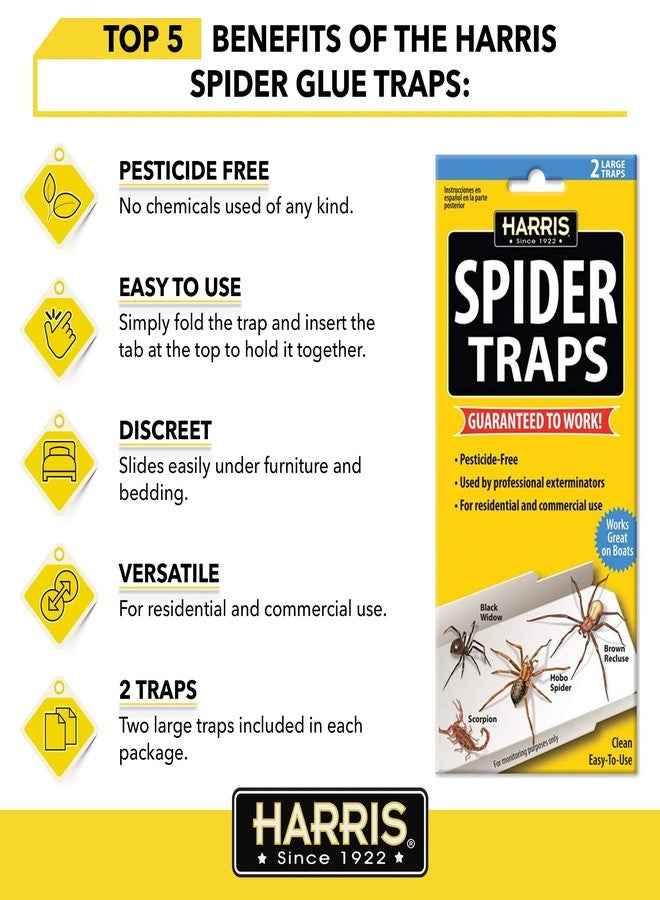 Harris Spider Glue Traps, Pesticide Free (2-Pack), Kills Brown Recluse, Hobo Spider, Black Widow and More - Image 3